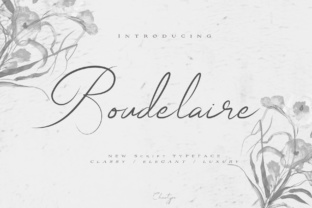 Boudelaire Font: A Crafters Guide to Elegant Script Designs