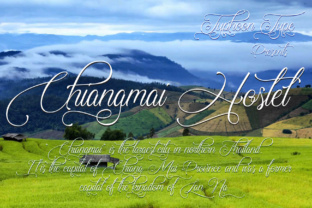Chiangmai Hostel Brings Calligraphic Refinement to Modern Web Design