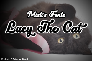 Lucy the Cat Font: A Campaign Designer’s Honest Review