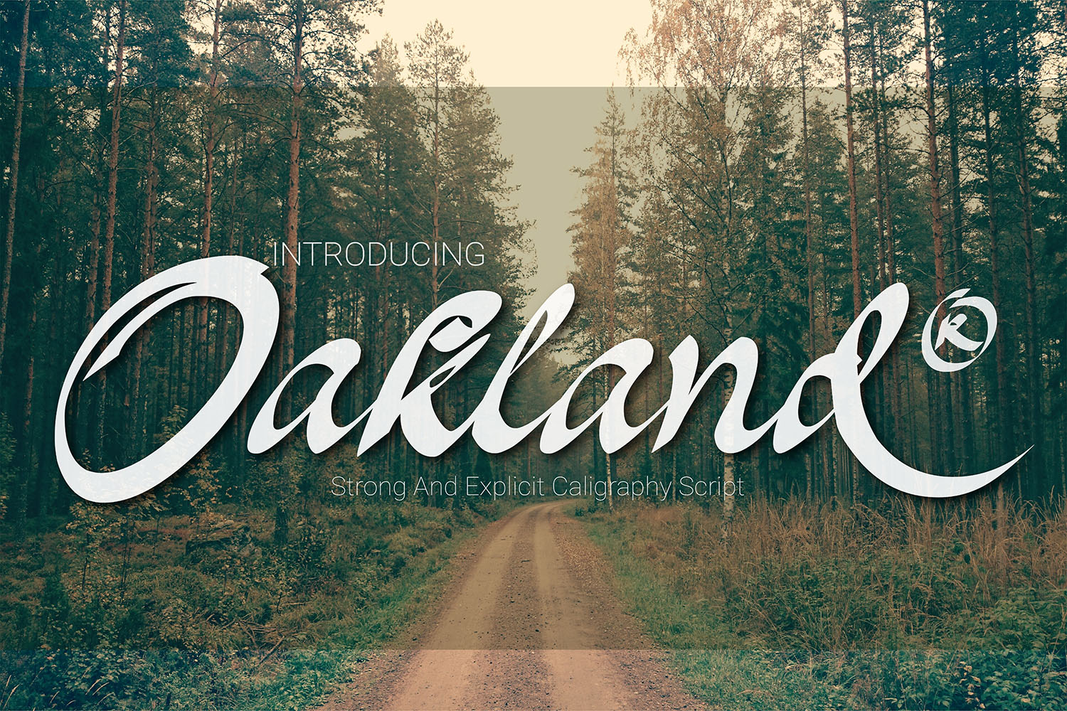Oakland: A Painterly Calligraphy Font for Modern Web Design