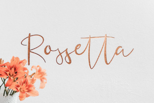 Rossetta: A Script Font for Warm Editorial Layouts