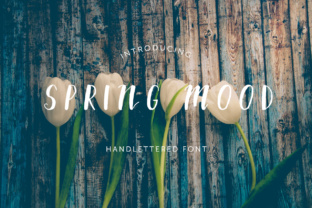 Spring Mood Font Brings Warmth to Editorial Design