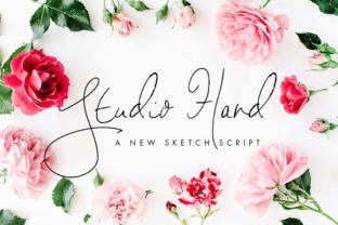 Studio Hand: A Script Font for Elegant Branding Work